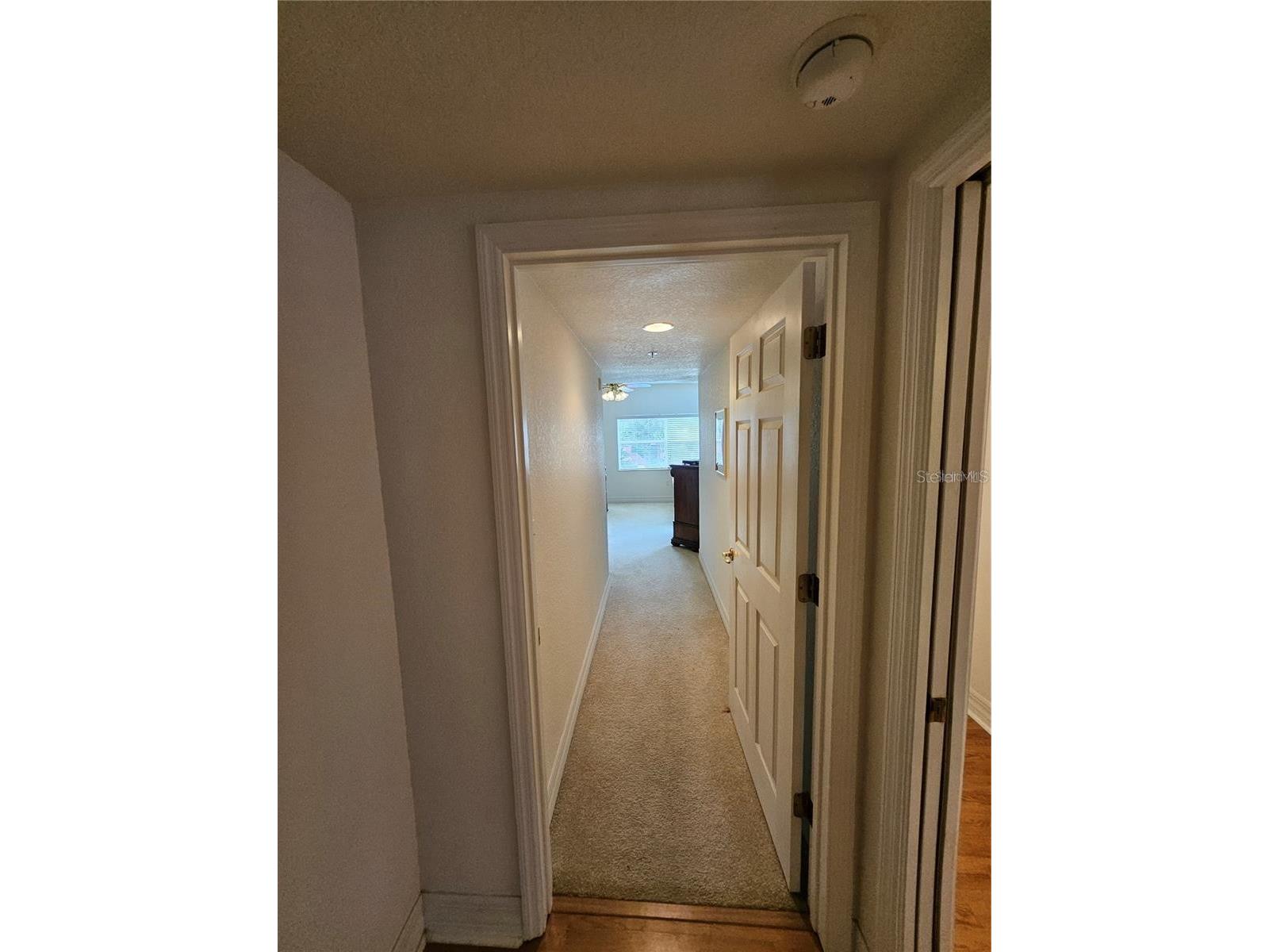 5300 S Atlantic Avenue #14-207 New Smyrna Beach FL 32169 O6376250 image19