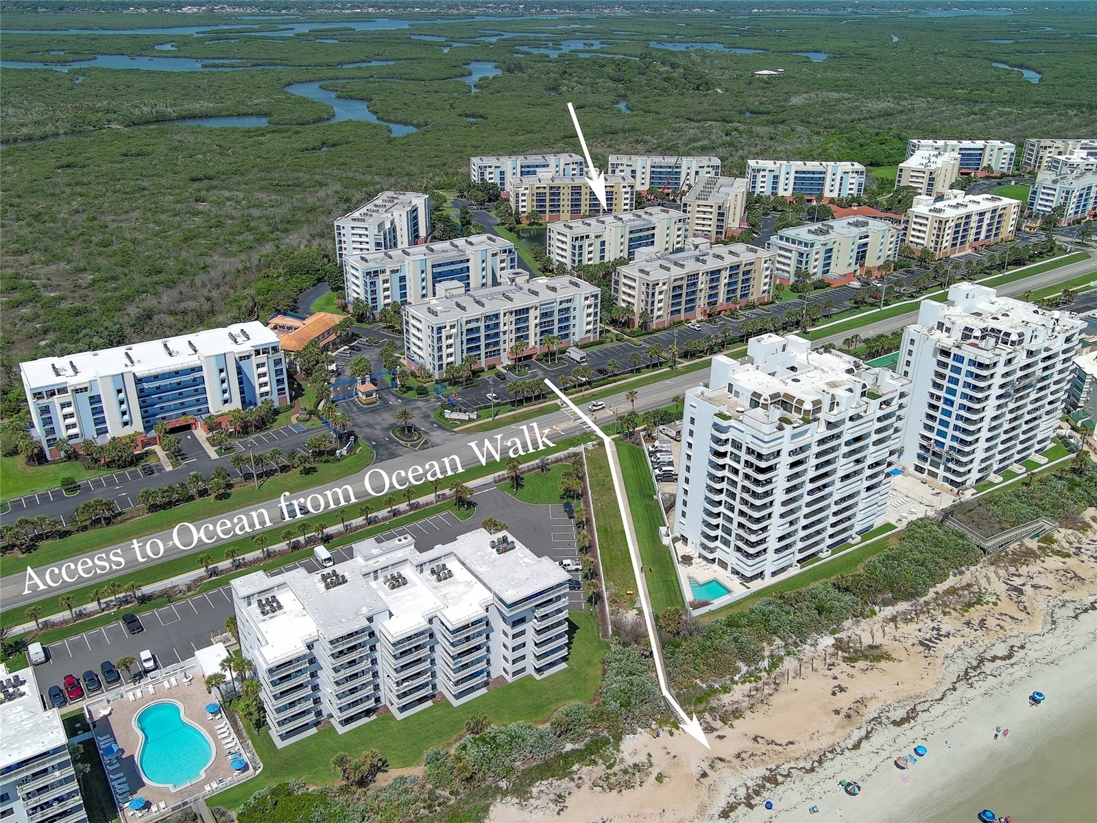 5300 S Atlantic Avenue #15-203 New Smyrna Beach FL 32169 O6408615 image50