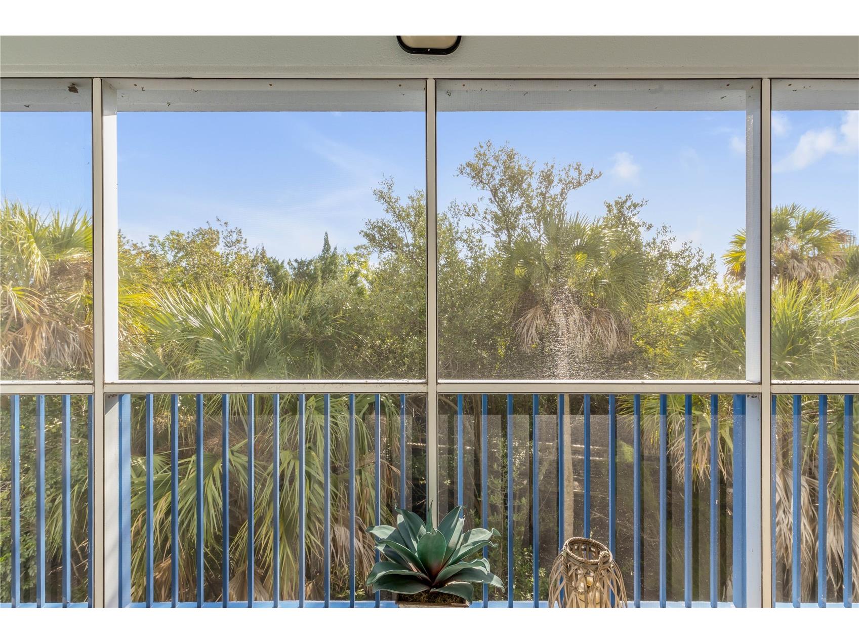 5300 S Atlantic Avenue #16-205 New Smyrna Beach FL 32169 NS1086887 image4