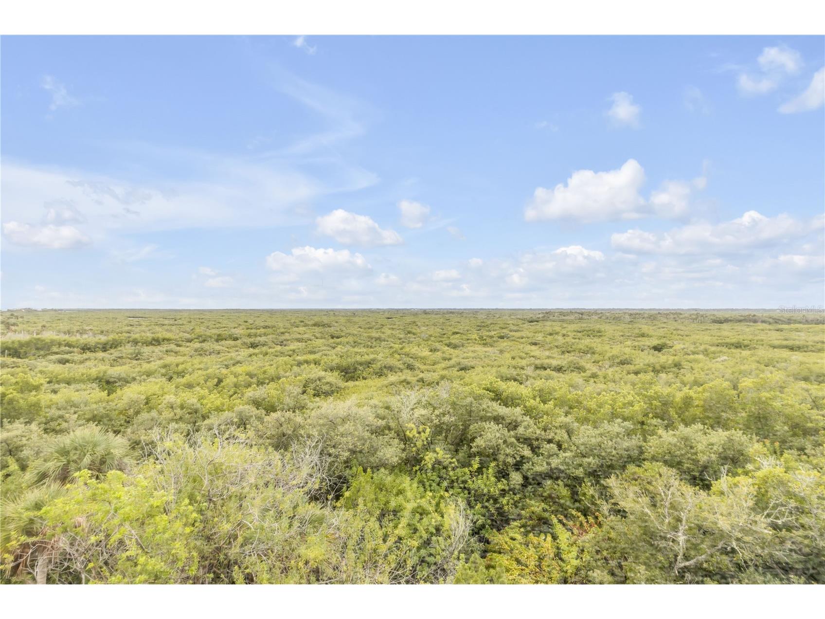 5300 S Atlantic Avenue #16-502 New Smyrna Beach FL 32169 NS1087074 image40