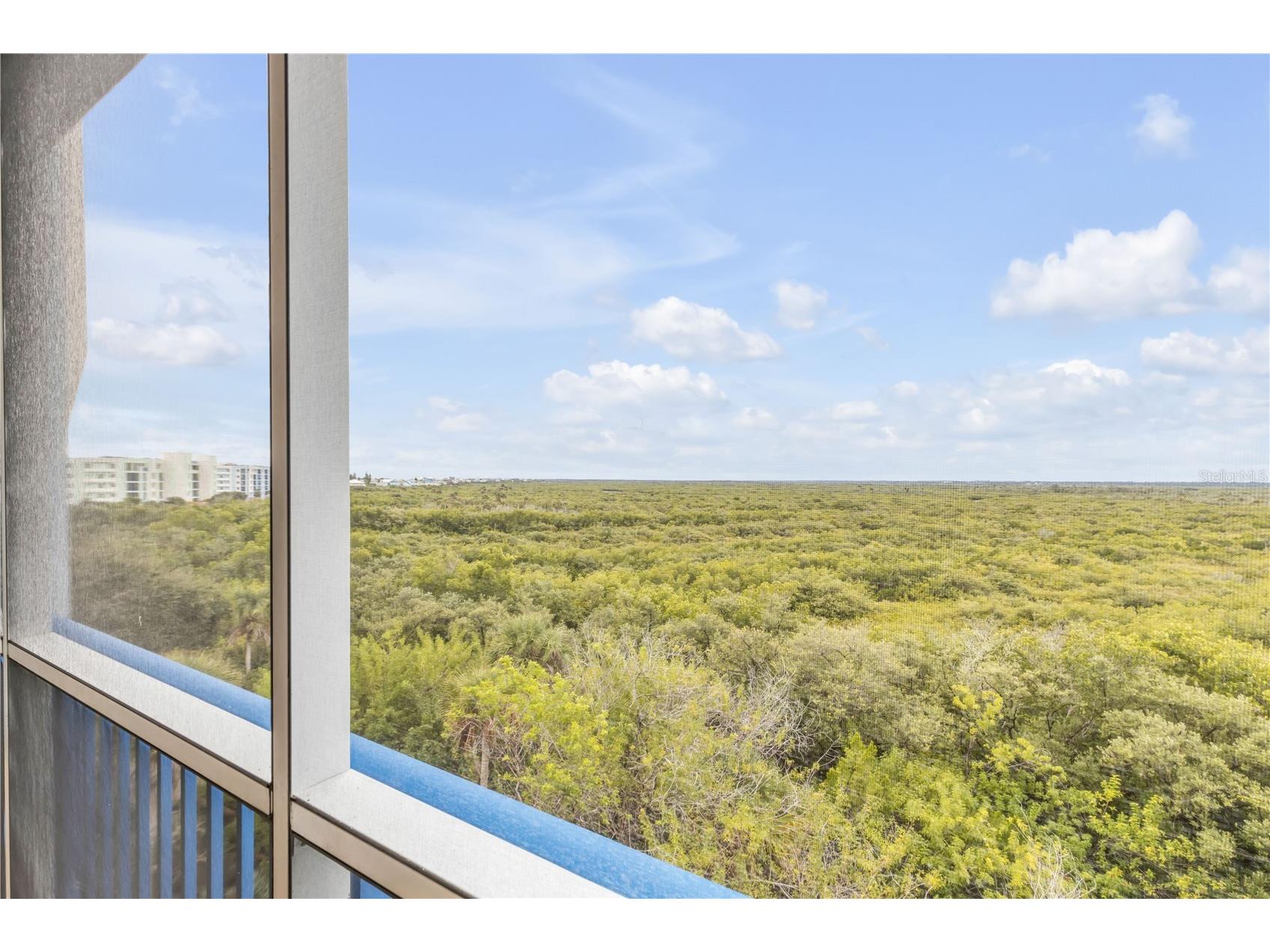 5300 S Atlantic Avenue #16-502 New Smyrna Beach FL 32169 NS1087074 image41