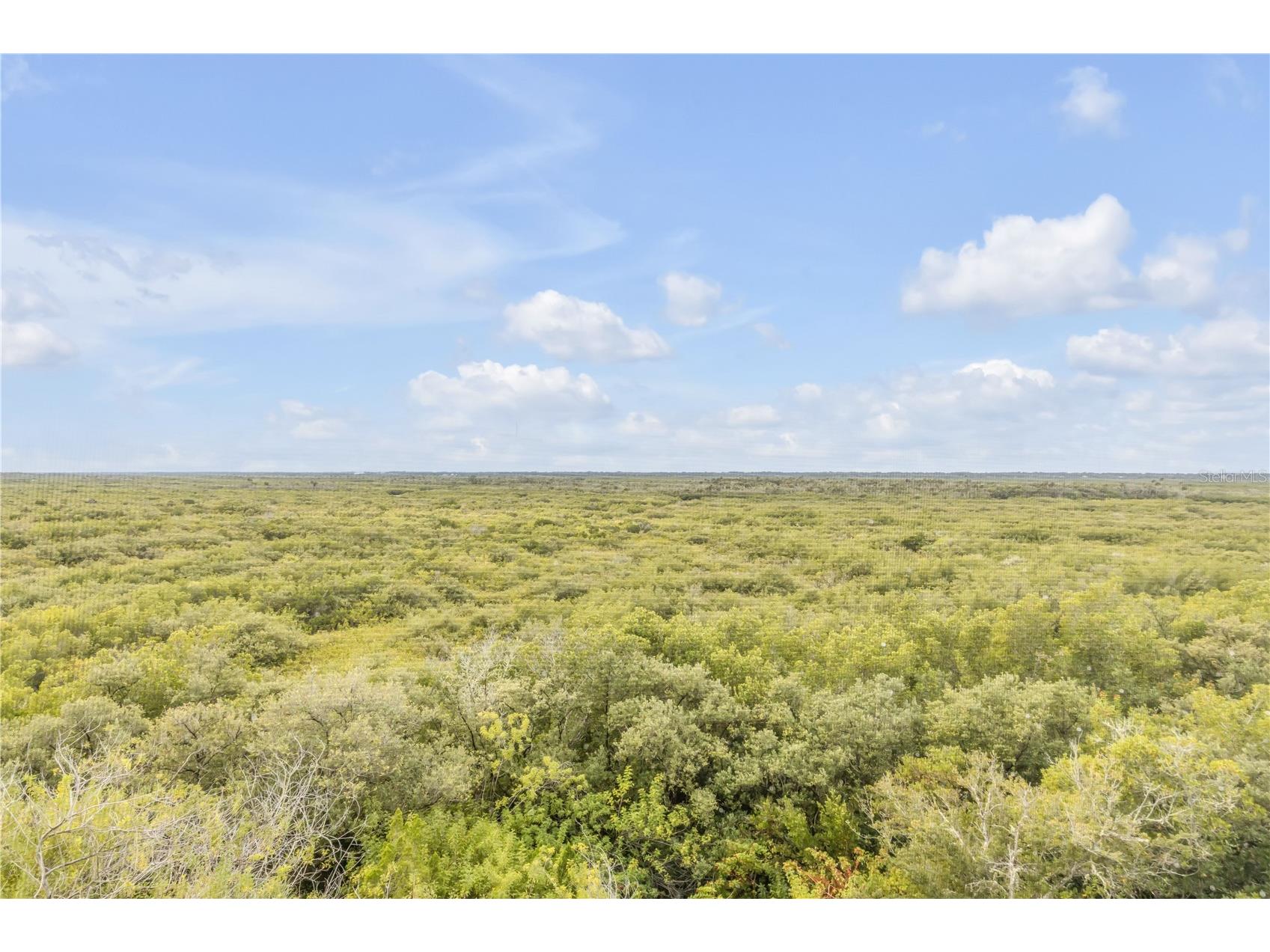 5300 S Atlantic Avenue #16-502 New Smyrna Beach FL 32169 NS1087074 image42