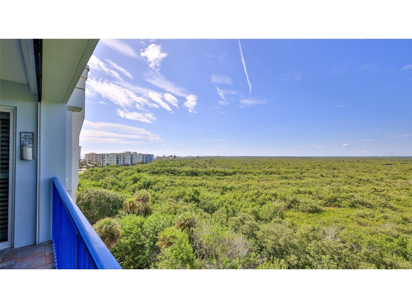 5300 S Atlantic Avenue #16-602 New Smyrna Beach FL 32169 O6235765 image30