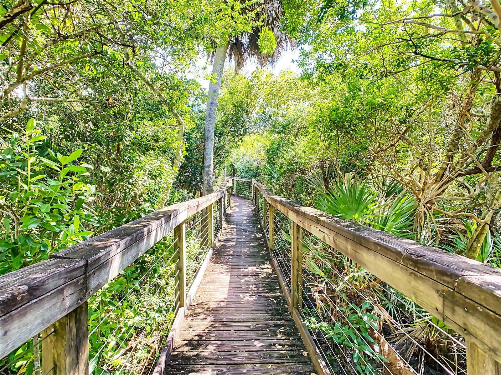 5300 S Atlantic Avenue #18-303 New Smyrna Beach FL 32169 NS1088301 image43