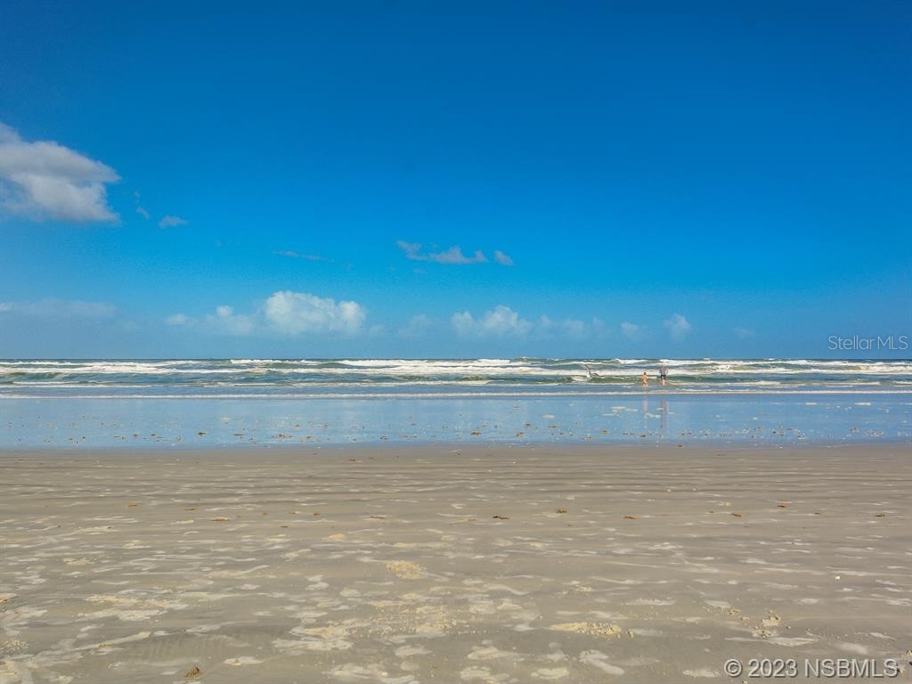 5300 S Atlantic Avenue #20-206 New Smyrna Beach FL 32169 NS1086949 image25
