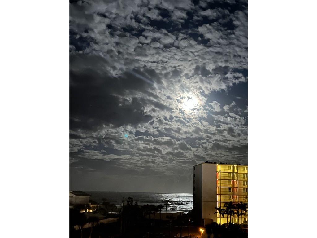 5300 S Atlantic Avenue #3-504 New Smyrna Beach FL 32169 NS1083770 image39