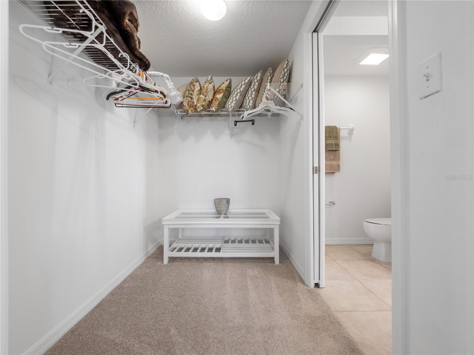 5300 S Atlantic Avenue #4-407 New Smyrna Beach FL 32169 O6378357 image10