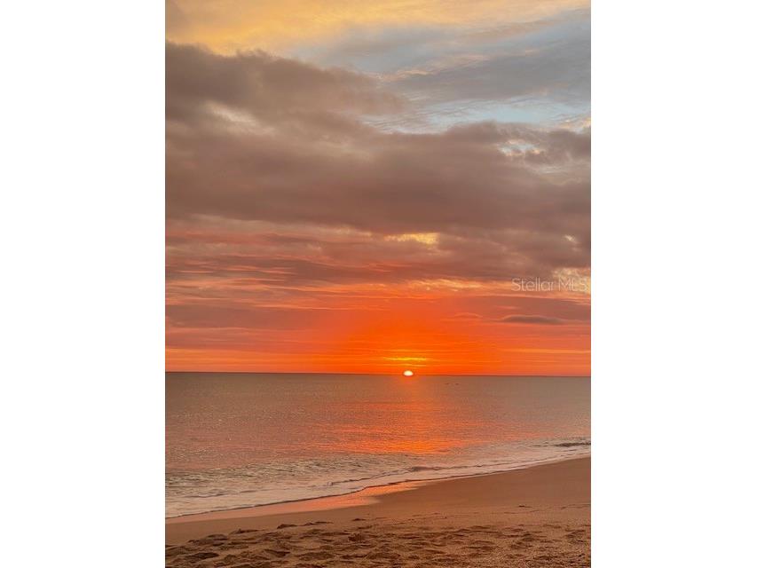 5300 S Atlantic Avenue #4-503 New Smyrna Beach FL 32169 O6374694 image65