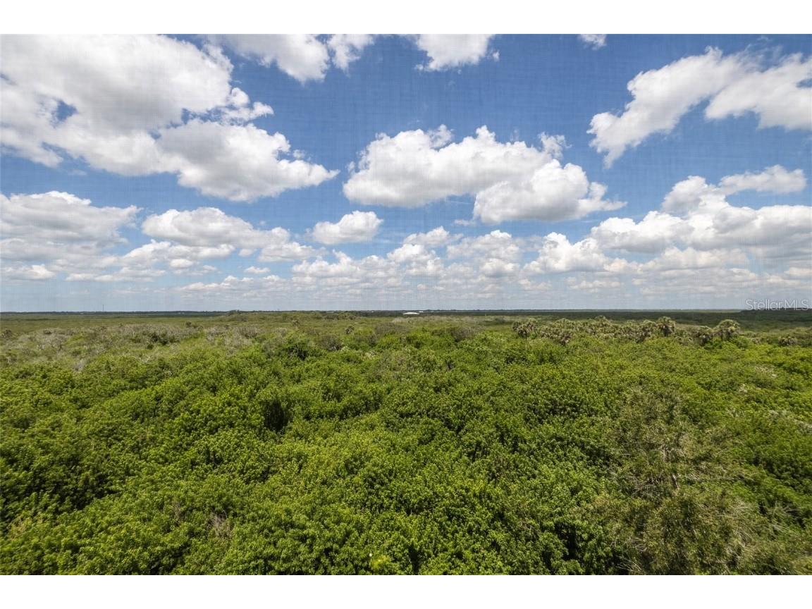 5300 S Atlantic Avenue #5-502 New Smyrna Beach FL 32169 - ATLANTIC OCEAN NS1085302 image15