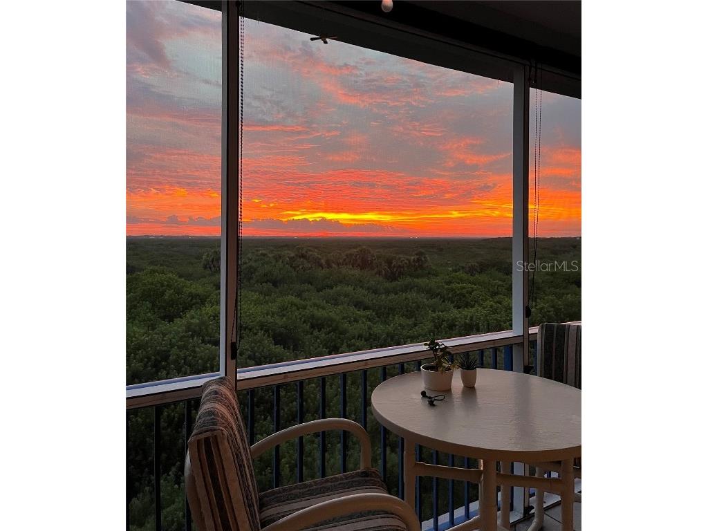 5300 S Atlantic Avenue #5504 New Smyrna Beach FL 32169 NS1085939 image39