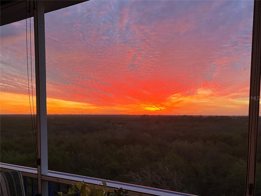 5300 S Atlantic Avenue #5504 New Smyrna Beach FL 32169 NS1085939 image40