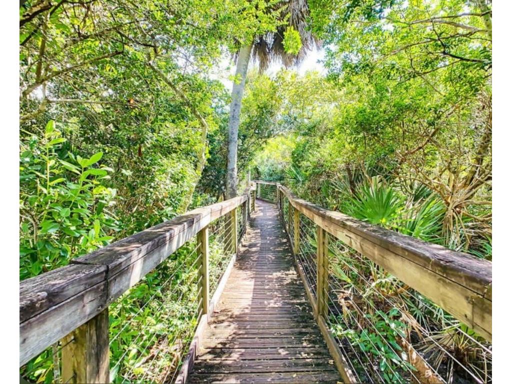 5300 S Atlantic Avenue #5504 New Smyrna Beach FL 32169 NS1085939 image47