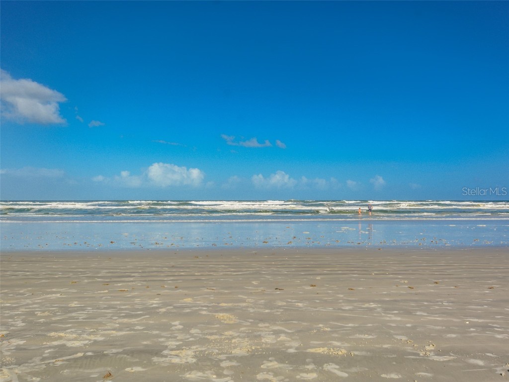 5300 S Atlantic Avenue #7-307 New Smyrna Beach FL 32169 NS1084079 image46