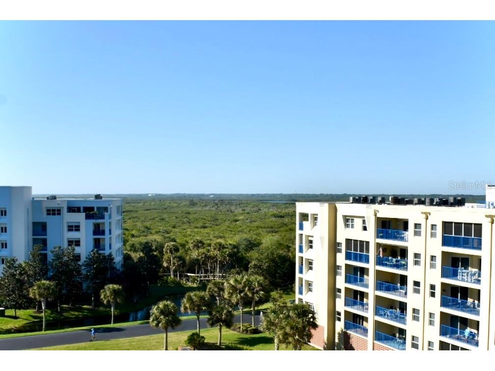 5300 S Atlantic Avenue #8-206 New Smyrna Beach FL 32169 NS1085553 image29