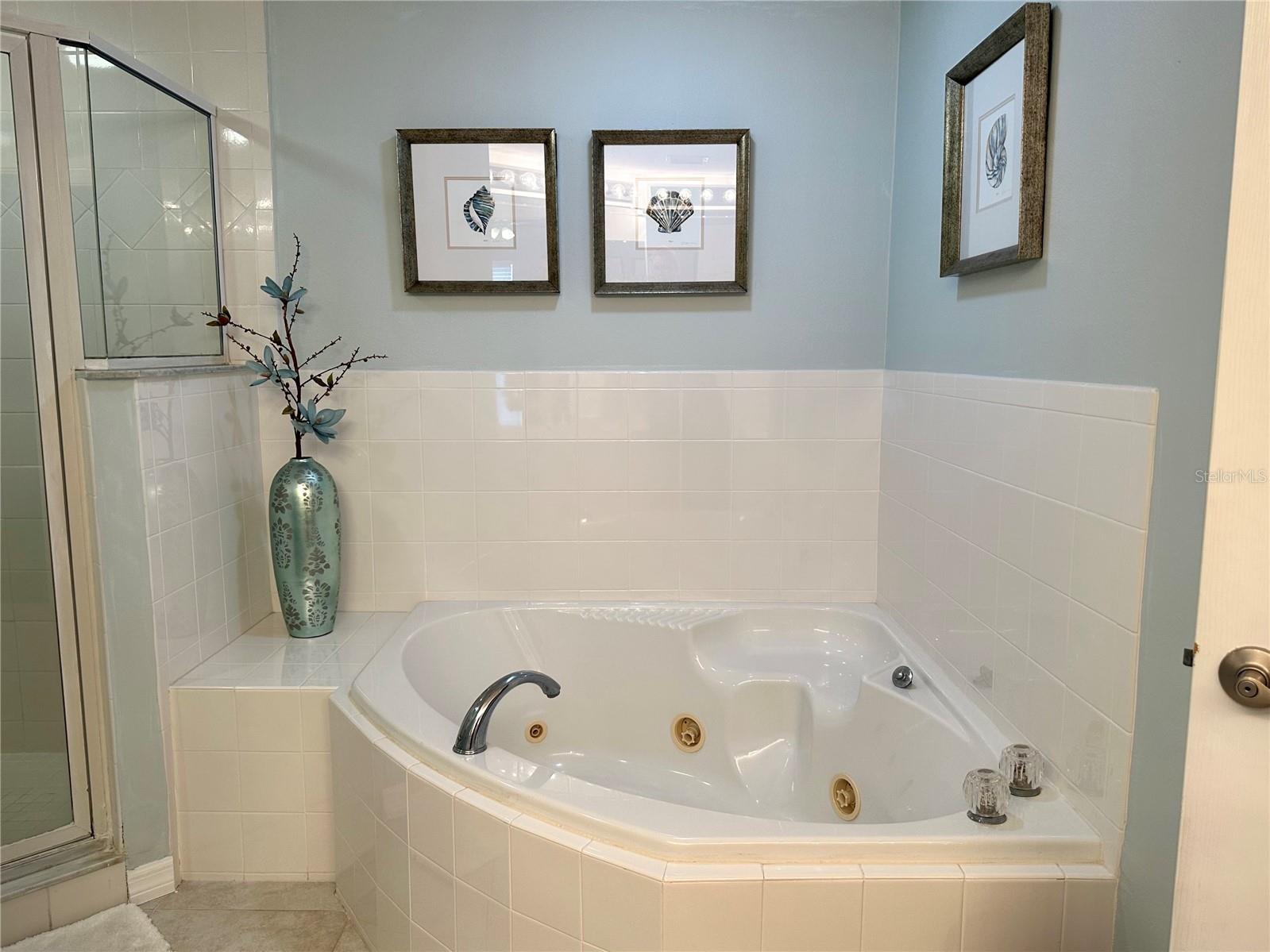 5300 S Atlantic Avenue #8-402 New Smyrna Beach FL 32169 NS1088084 image25