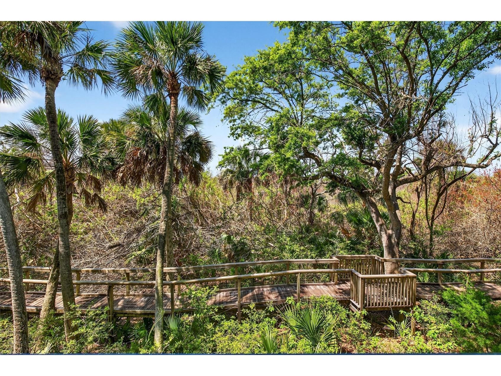 5300 S Atlantic Avenue #9-204 New Smyrna Beach FL 32169 NS1087850 image32
