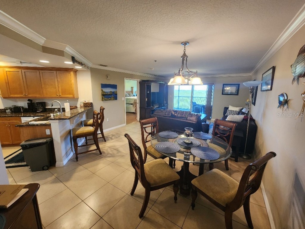 5300 S Atlantic Avenue #9-502 New Smyrna Beach FL 32169 NS1086592 image6