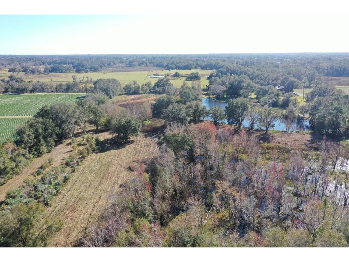 5301 Cougar Trail Lane Plant City FL 33565 T3423142 image1