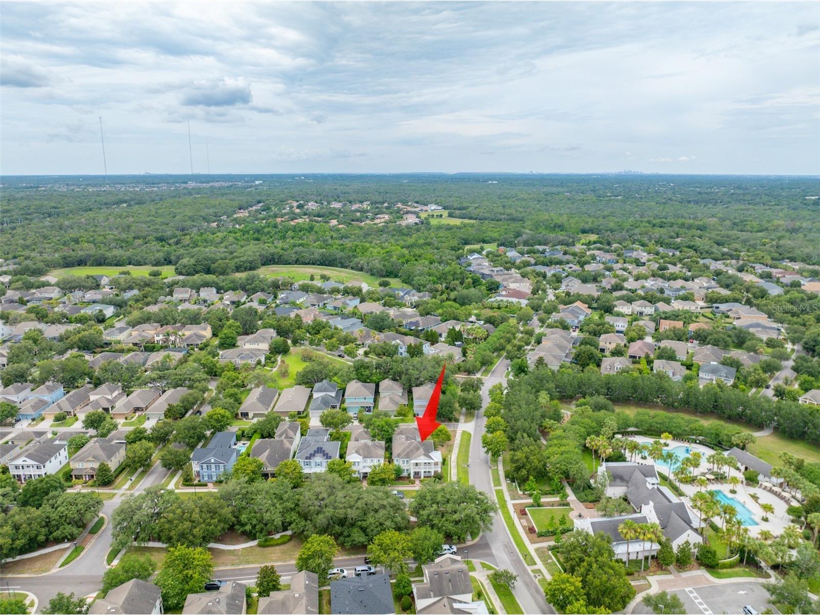 5301 Fishhawk Ridge Dr Lithia FL 33547 TB8517571 image73