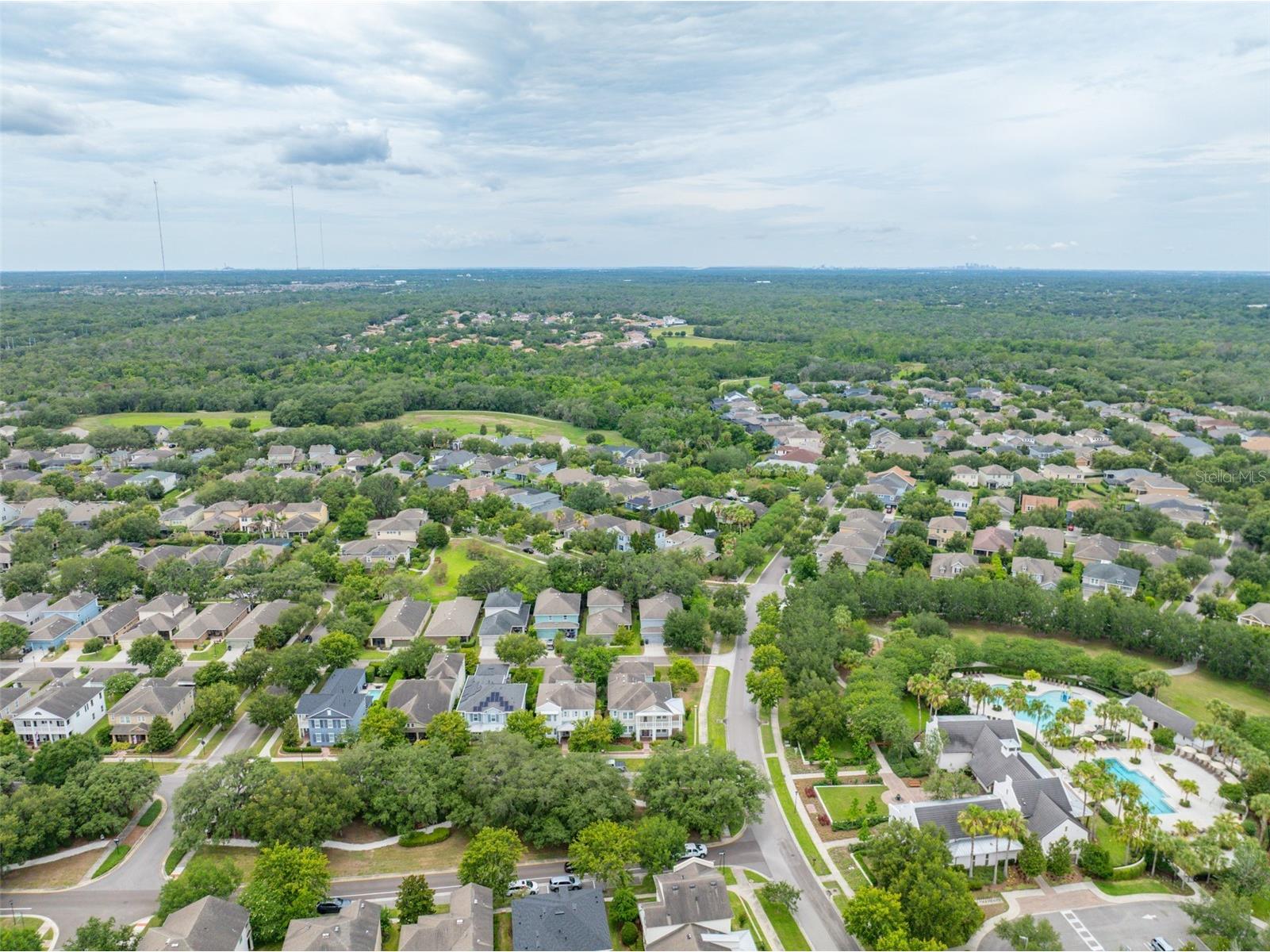 5301 Fishhawk Ridge Dr Lithia FL 33547 TB8517571 image74