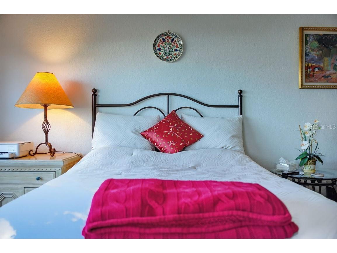 5301 Gulf Boulevard #E202 Saint Pete Beach FL 33706 TB8450226 image59