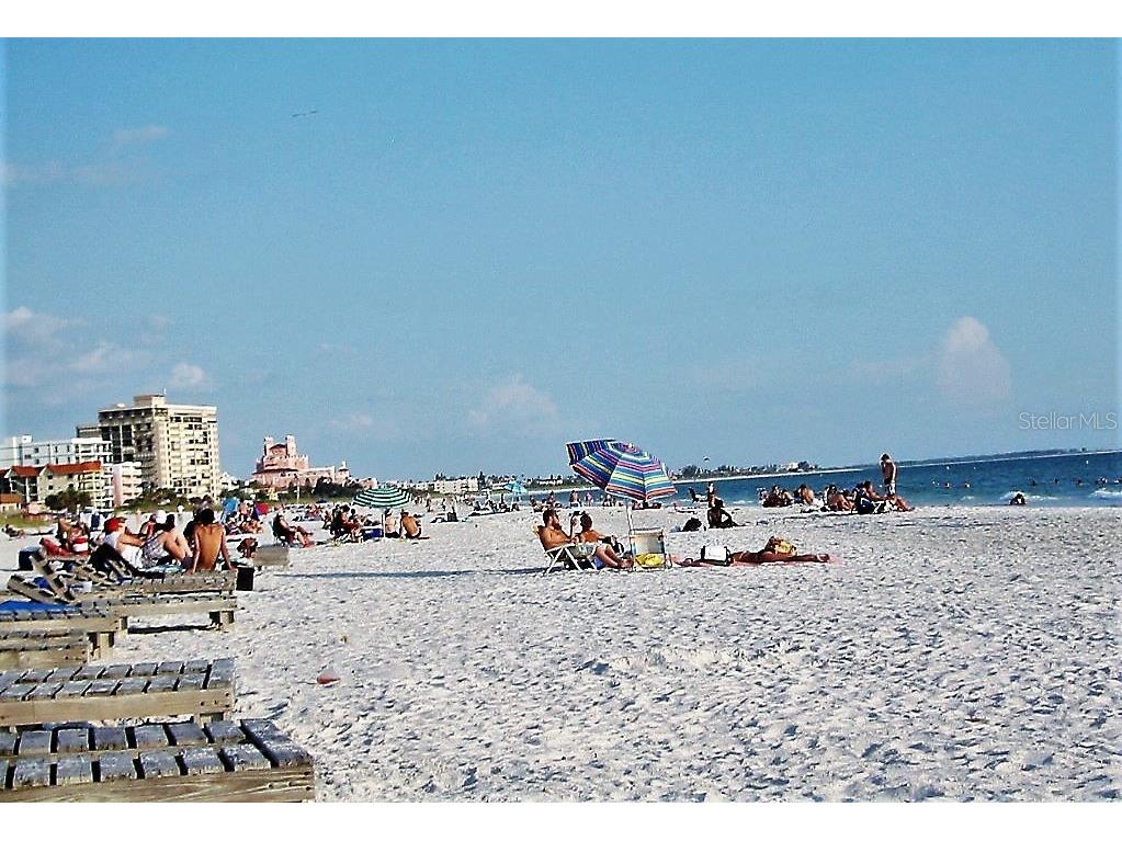 5301 Gulf Boulevard #E202 Saint Pete Beach FL 33706 TB8450226 image65