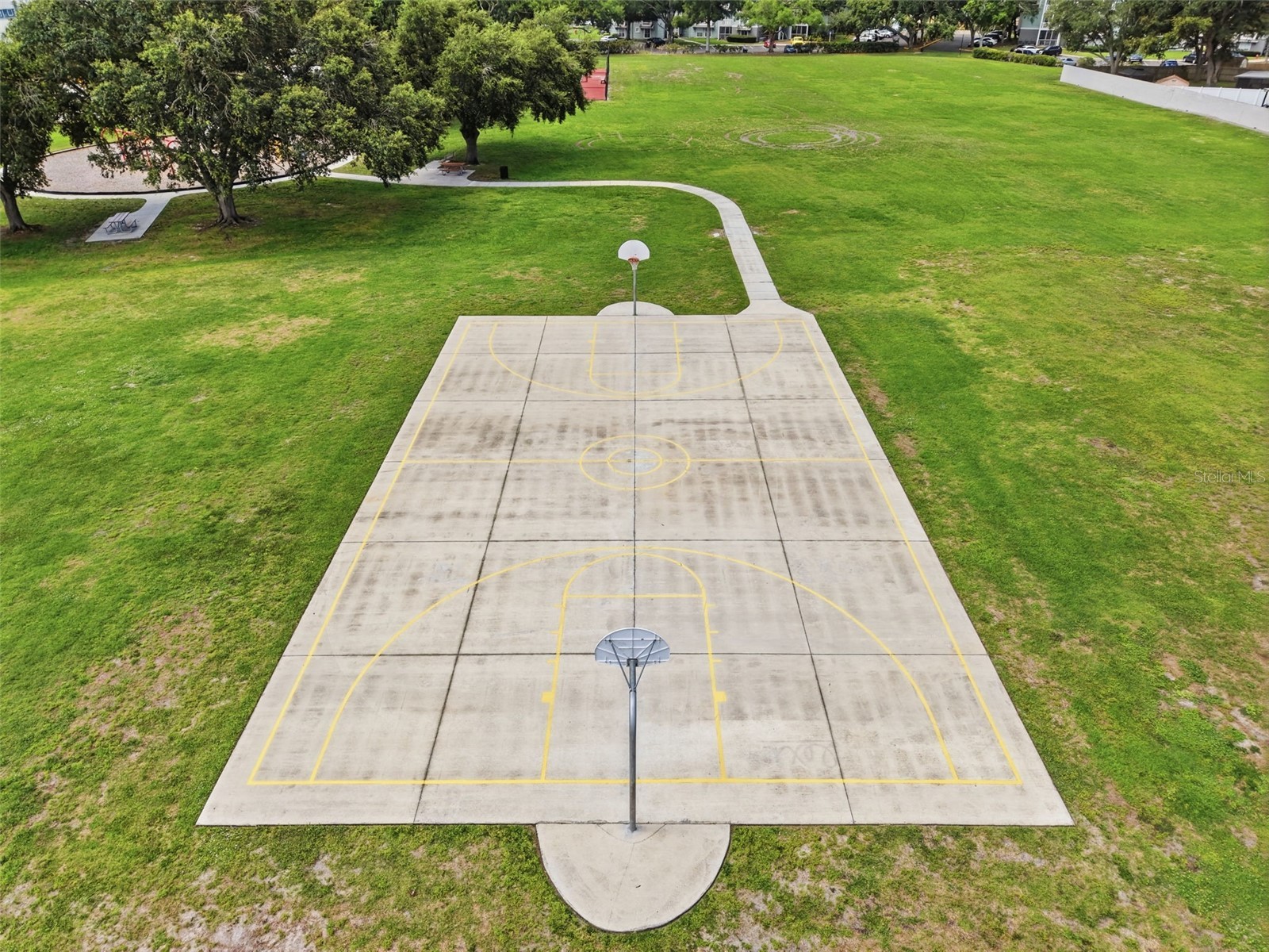 5301 Ladywell Ct Tampa FL 33624 O6417170 image49