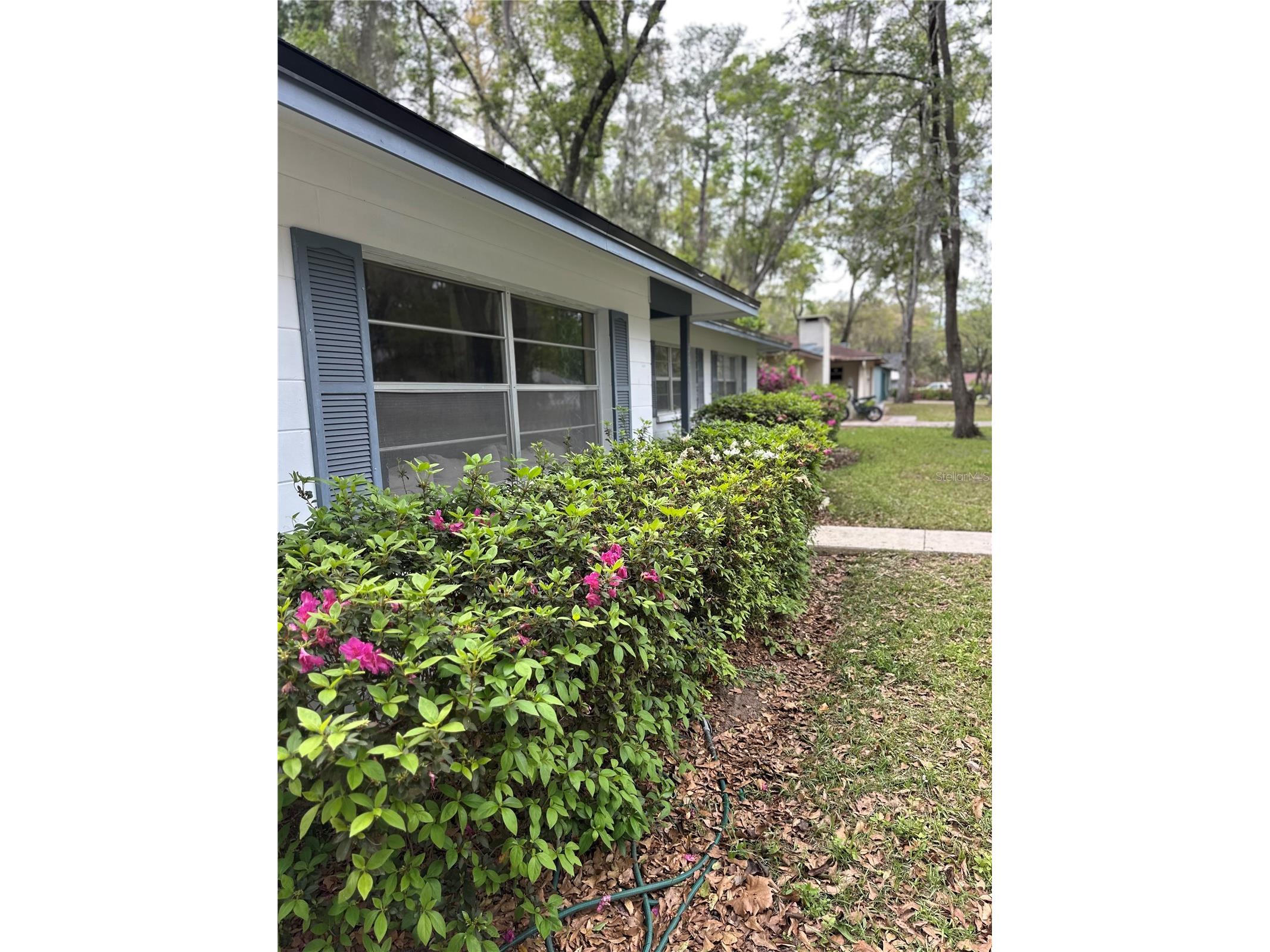 5301 NW 25th Place Gainesville FL 32606 W7883297 image4