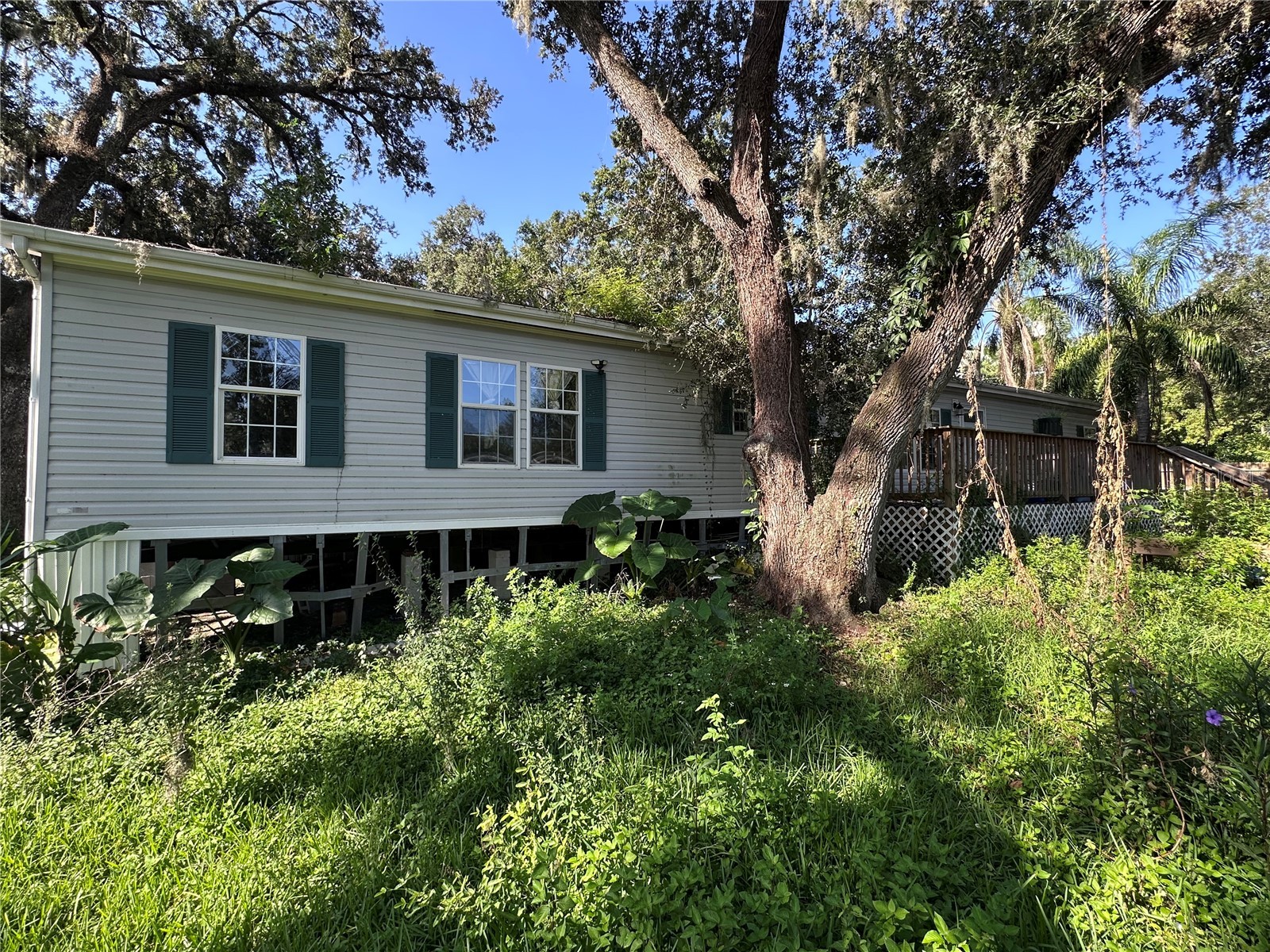 5301 Royal Oak Drive Tampa FL 33610 TB8419255 image2