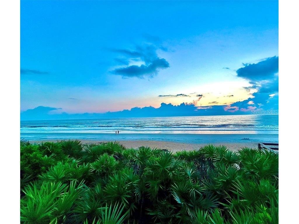 5301 S Atlantic Avenue #52 New Smyrna Beach FL 32169 - ATLANTIC OCEAN NS1085856 image1