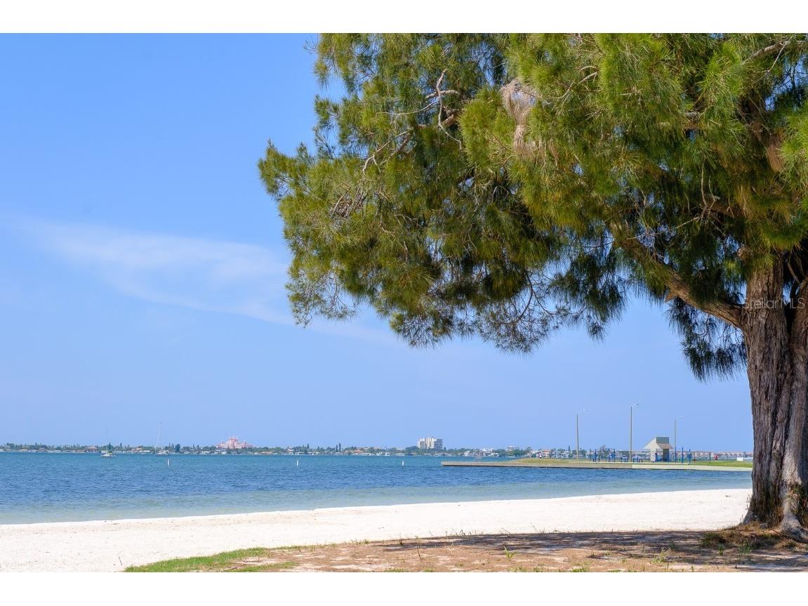 5302 28th Avenue S Gulfport FL 33707 TB8439648 image49