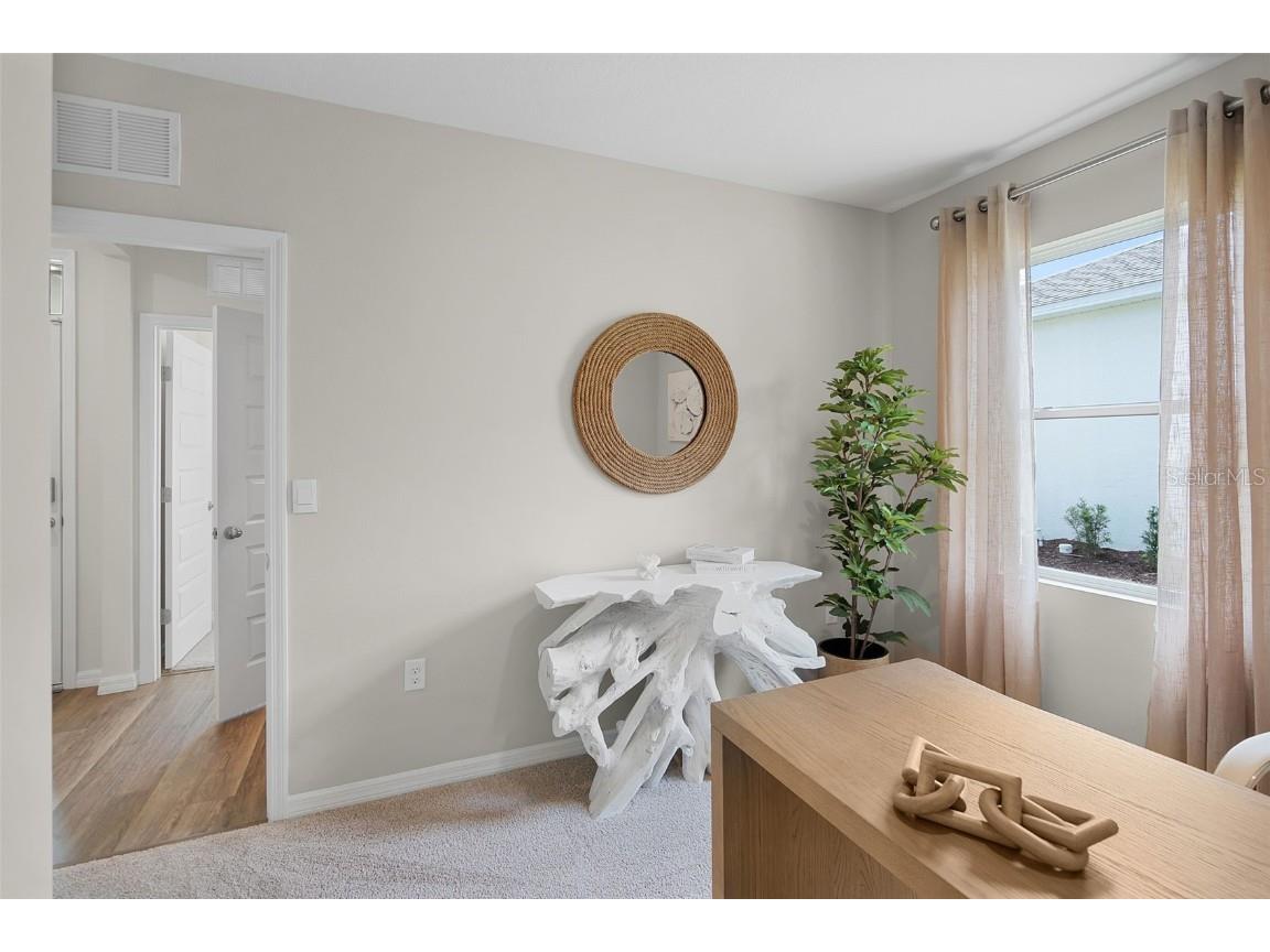 5302 Mahogany Drive Mount Dora FL 32757 O6356981 image30