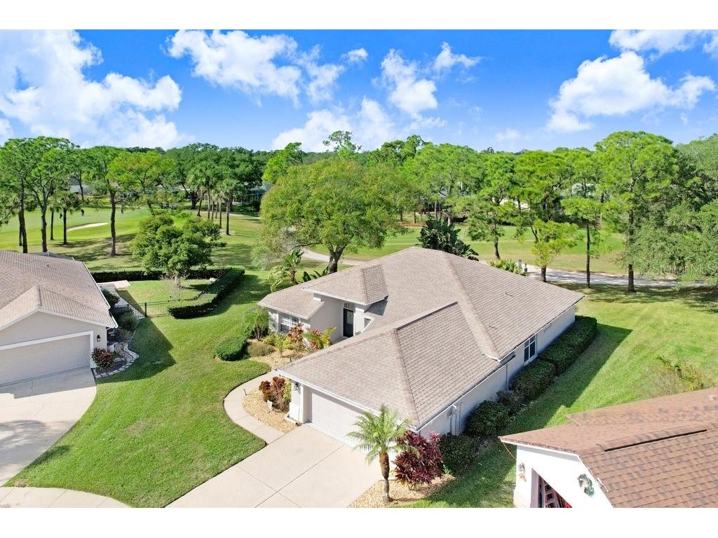 5302 Waterleaf Court Valrico FL 33596 TB8460061 image1