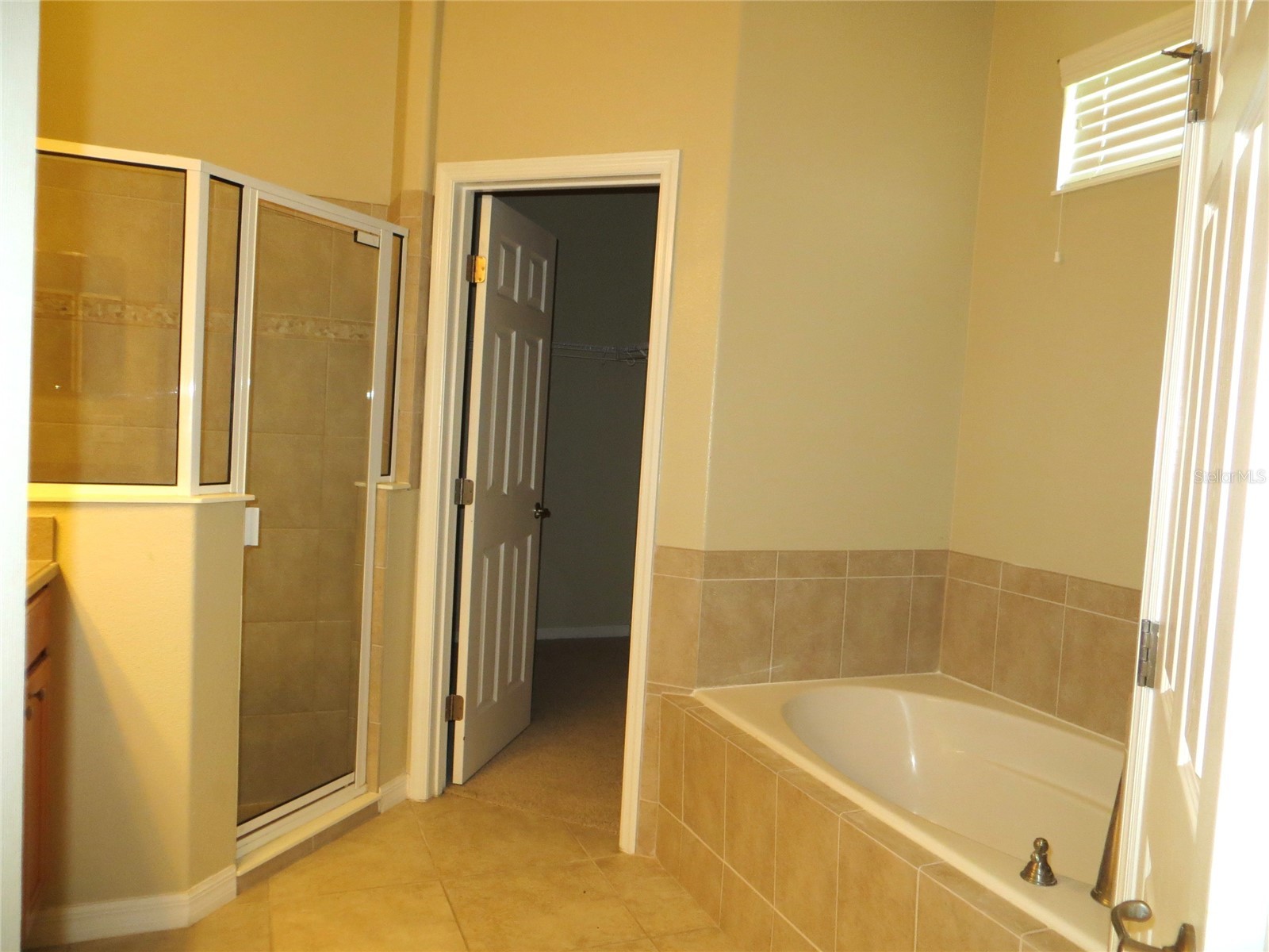 5303 Cape Hatteras Drive Clermont FL 34714 O6421333 image15