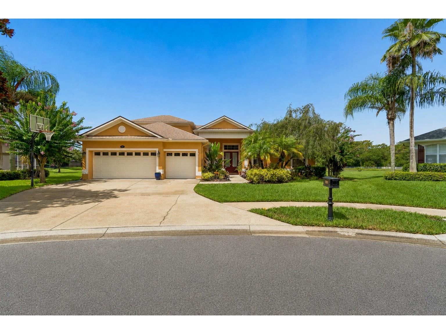 5303 Clouds Peak Drive Lutz FL 33558 TB8527363 image1