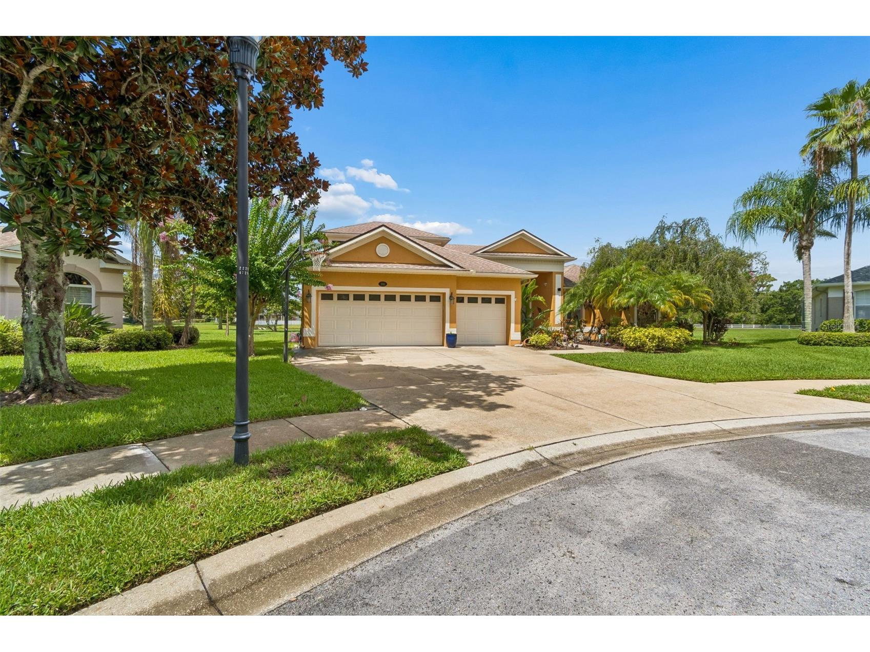 5303 Clouds Peak Drive Lutz FL 33558 TB8527363 image2