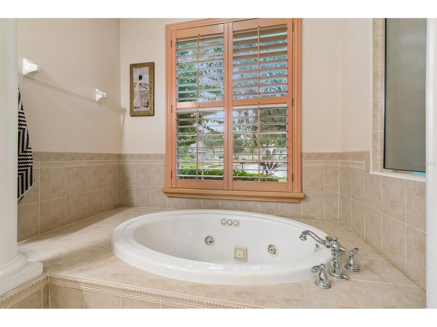 5303 Clouds Peak Drive Lutz FL 33558 TB8527363 image27