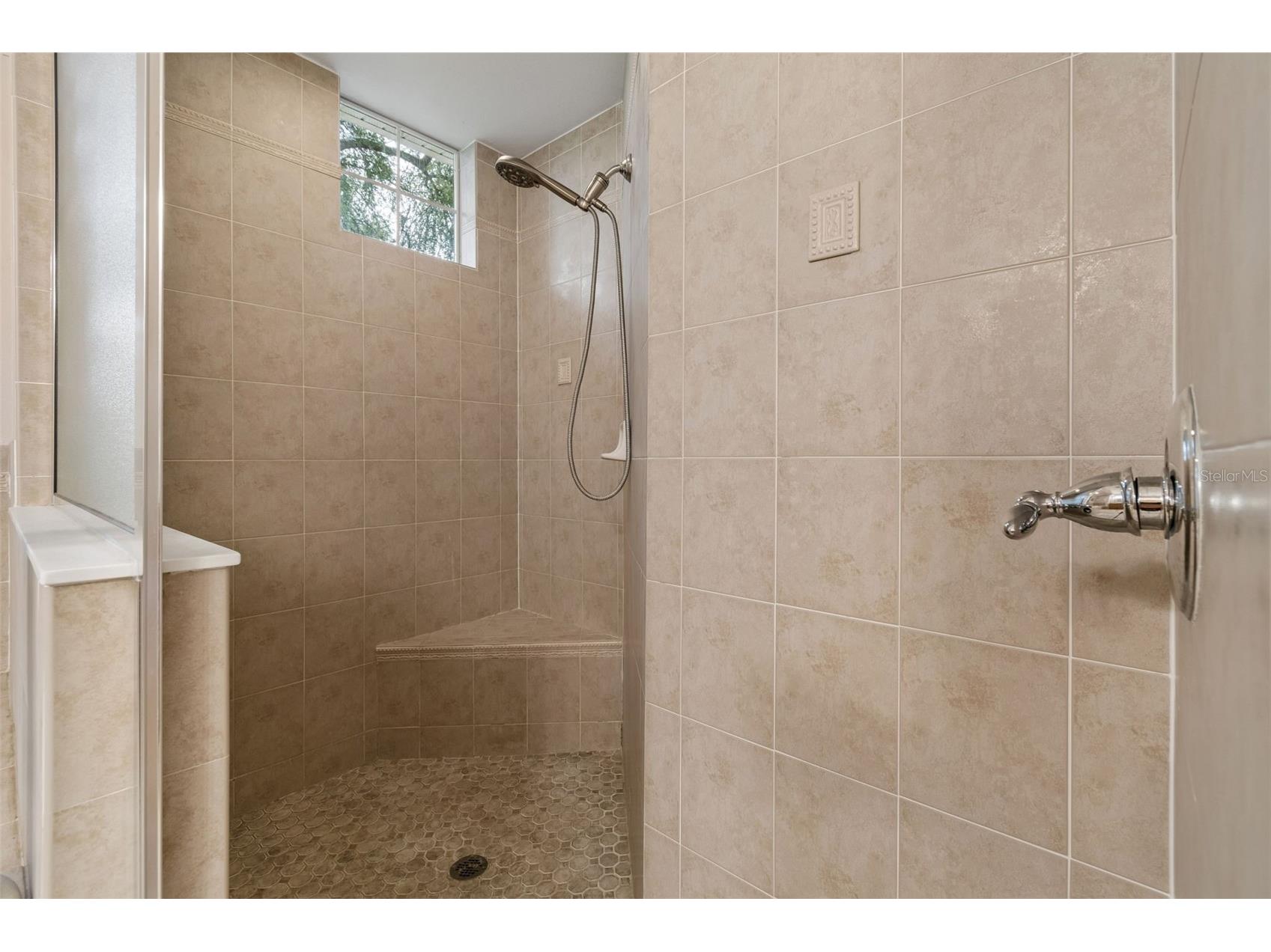 5303 Clouds Peak Drive Lutz FL 33558 TB8527363 image28