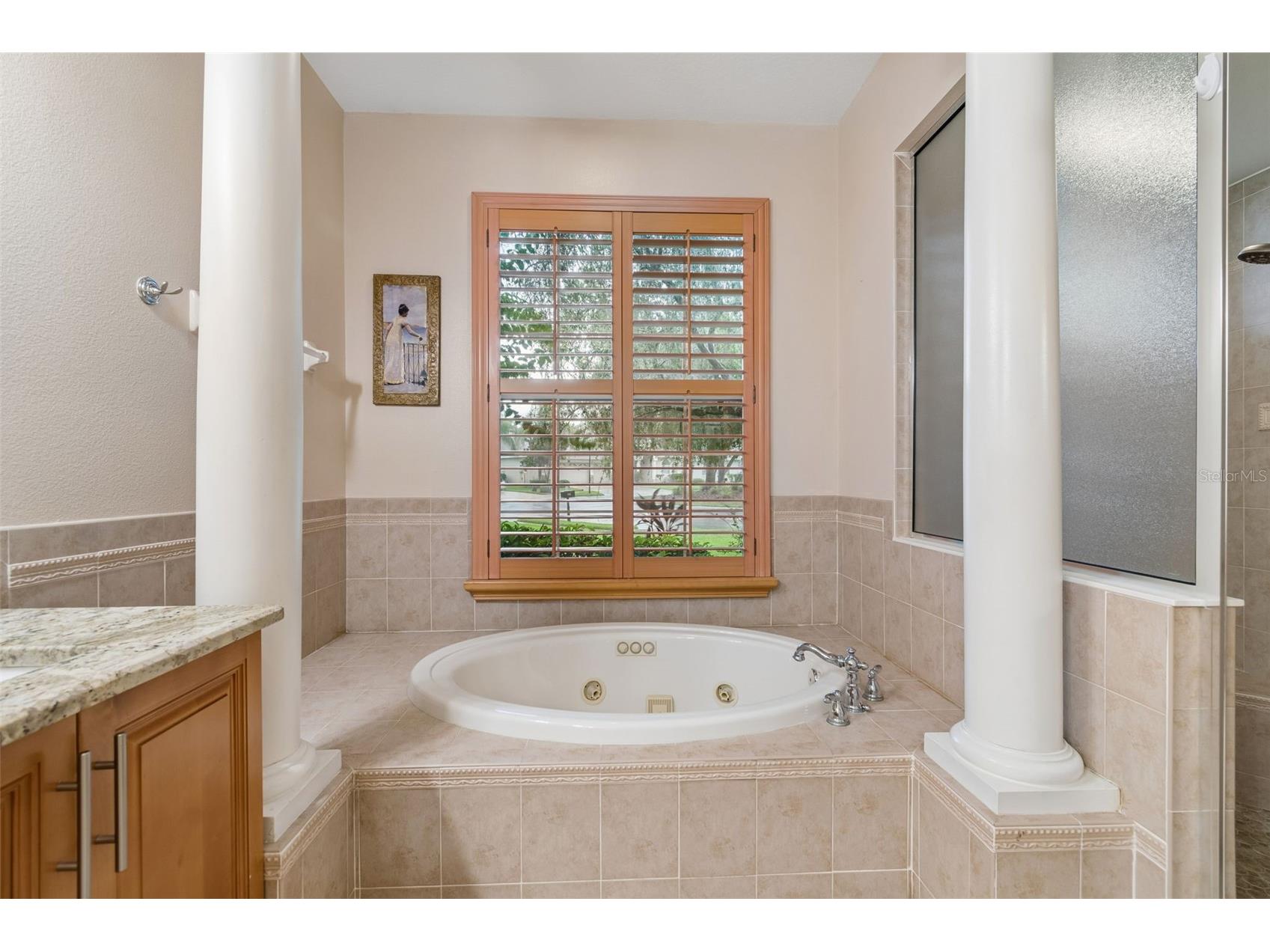 5303 Clouds Peak Drive Lutz FL 33558 TB8527363 image29