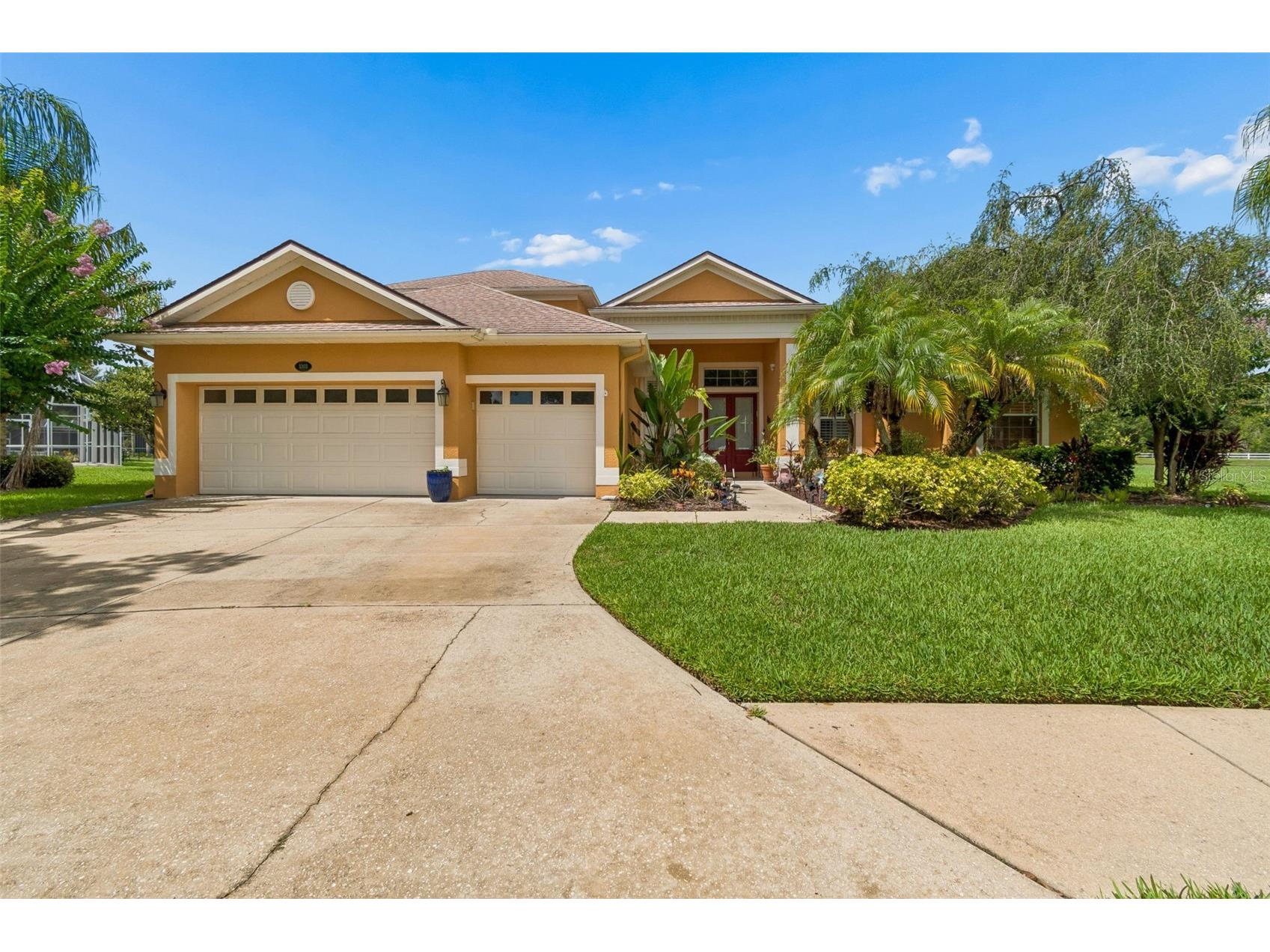 5303 Clouds Peak Drive Lutz FL 33558 TB8527363 image3