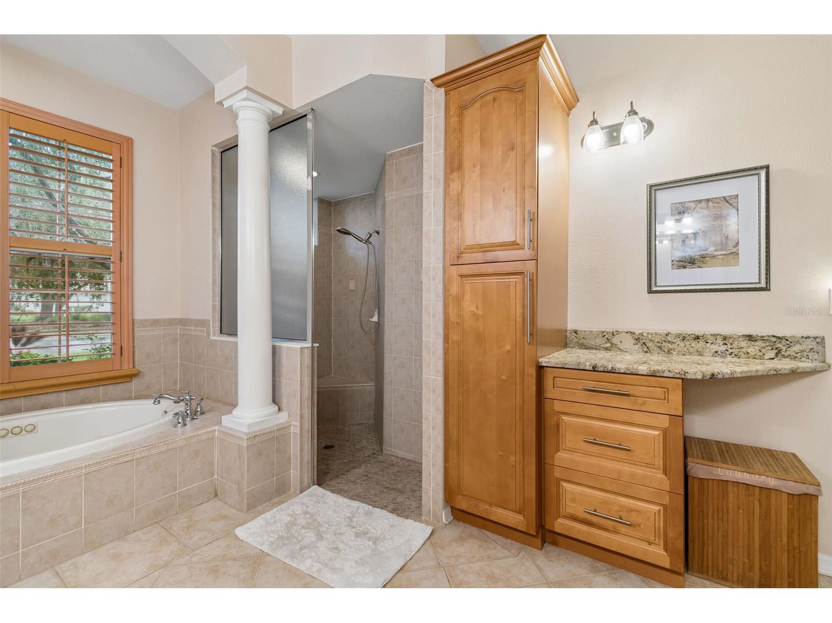5303 Clouds Peak Drive Lutz FL 33558 TB8527363 image31