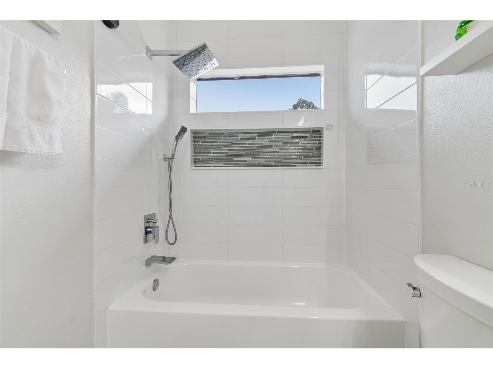 5303 Clouds Peak Drive Lutz FL 33558 TB8527363 image53