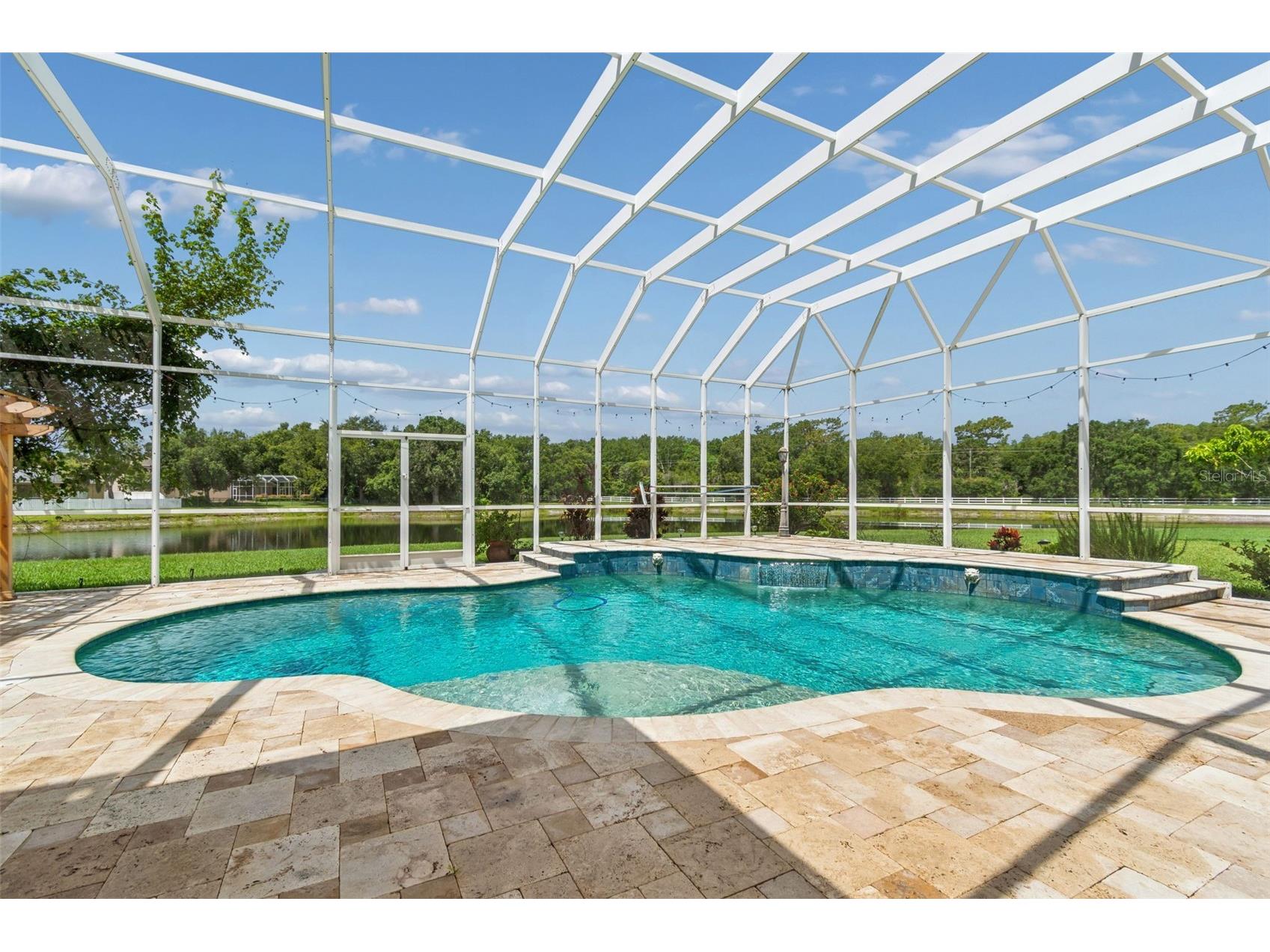 5303 Clouds Peak Drive Lutz FL 33558 TB8527363 image60