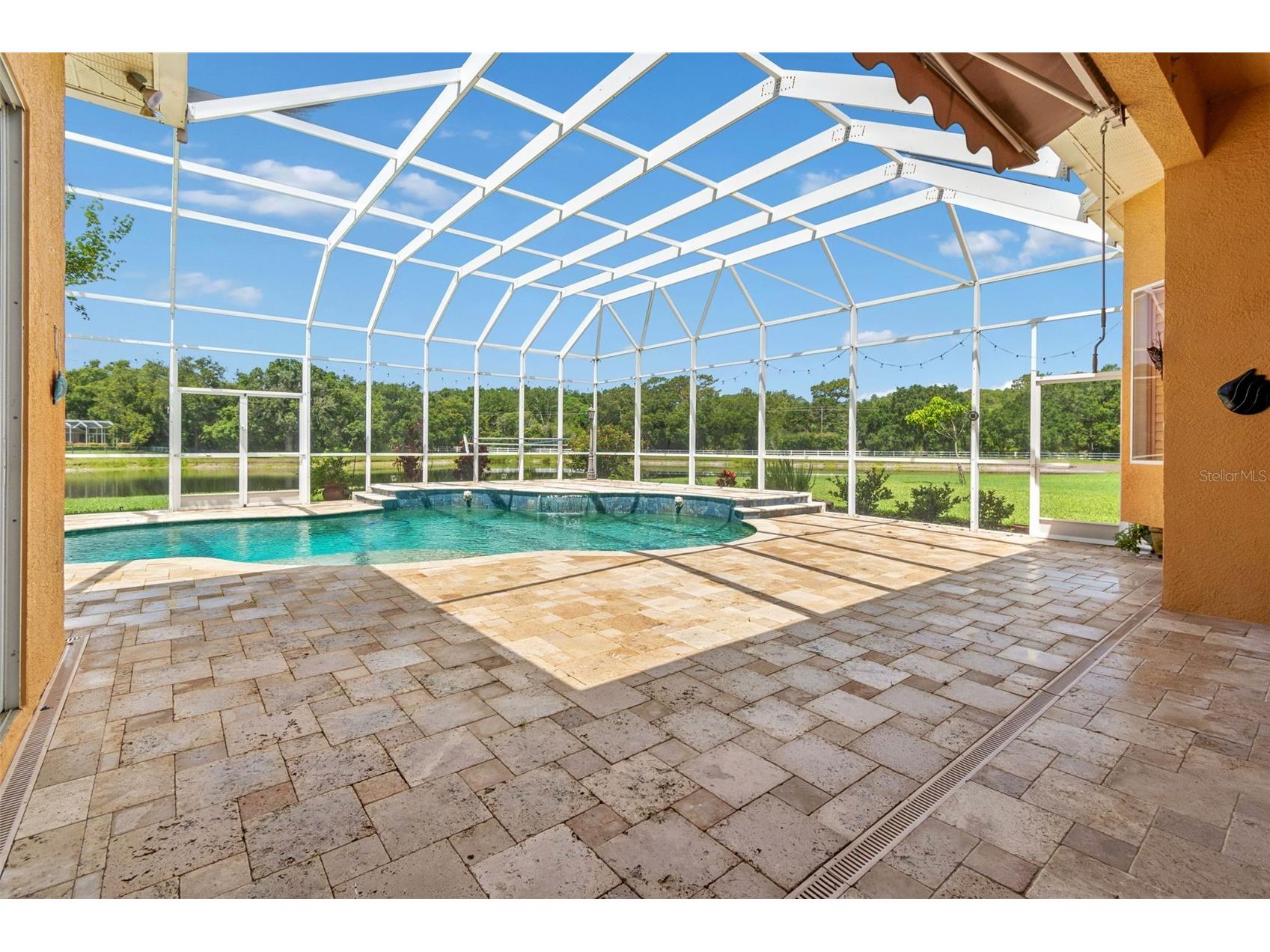 5303 Clouds Peak Drive Lutz FL 33558 TB8527363 image68