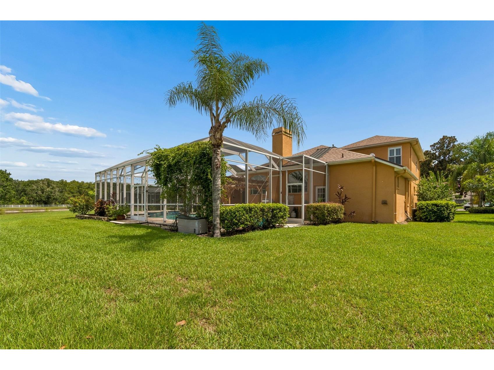 5303 Clouds Peak Drive Lutz FL 33558 TB8527363 image72
