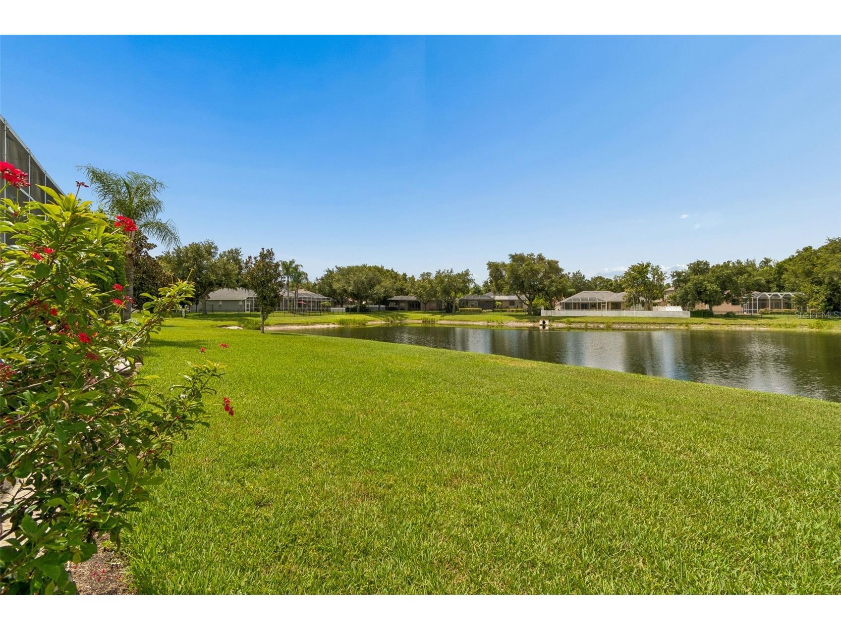 5303 Clouds Peak Drive Lutz FL 33558 TB8527363 image75