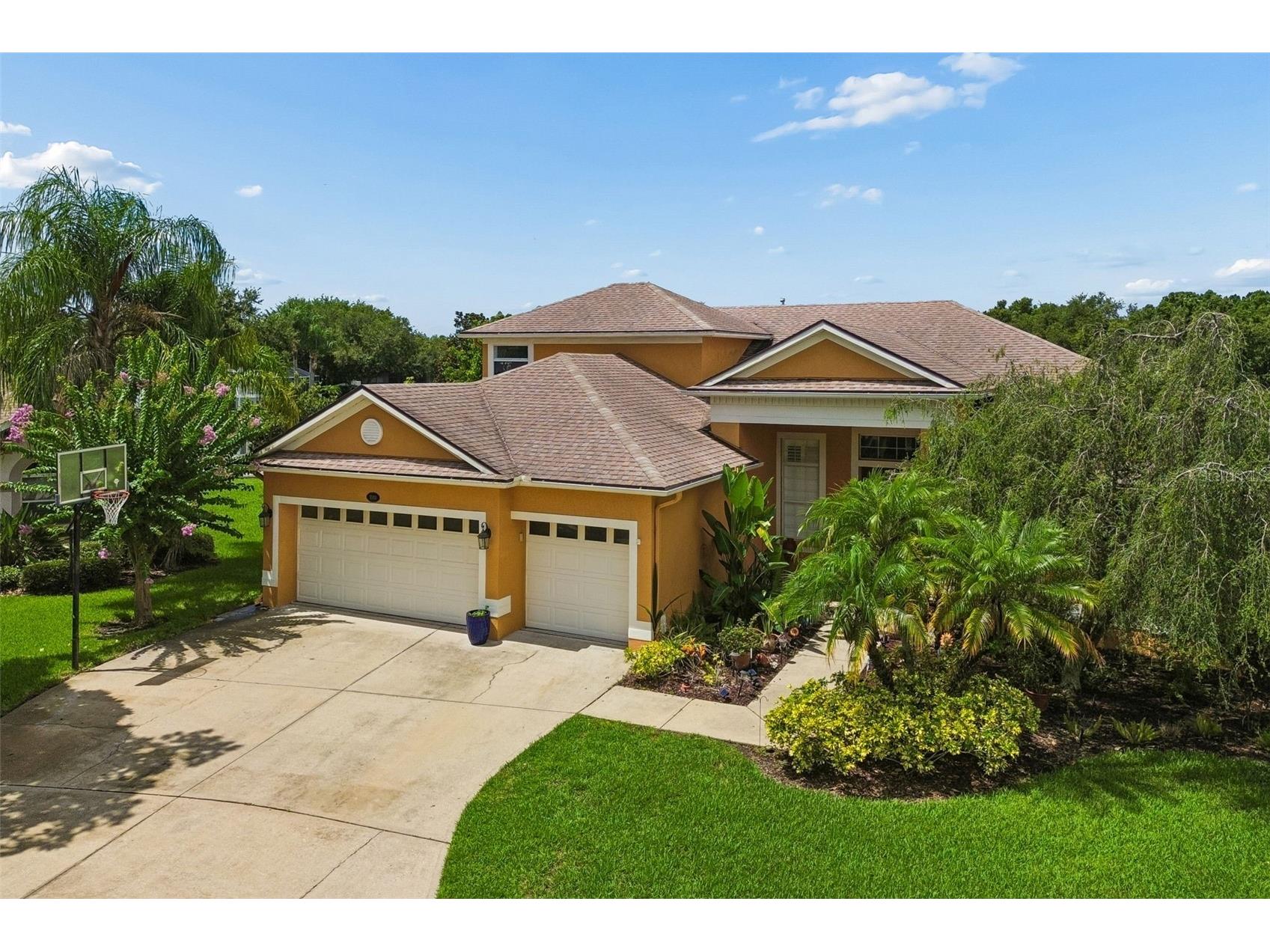 5303 Clouds Peak Drive Lutz FL 33558 TB8527363 image78