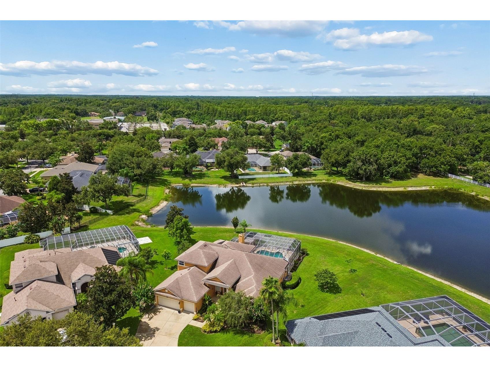 5303 Clouds Peak Drive Lutz FL 33558 TB8527363 image79