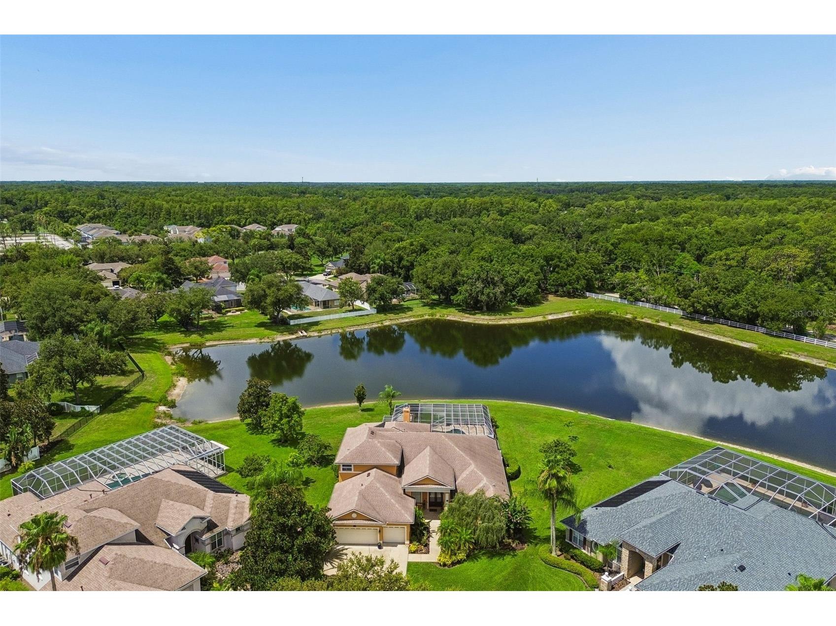 5303 Clouds Peak Drive Lutz FL 33558 TB8527363 image80