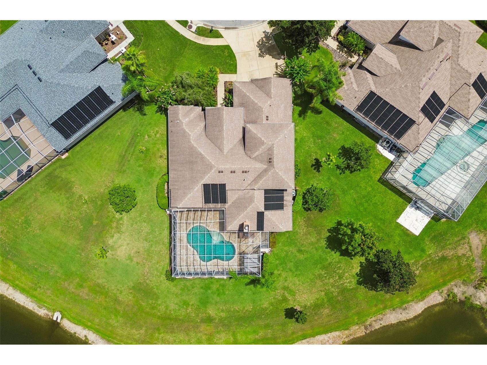 5303 Clouds Peak Drive Lutz FL 33558 TB8527363 image81